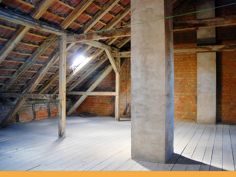 attic cleanouts